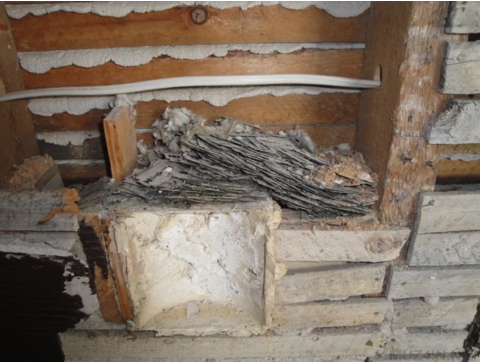 Никому не мешали Фото:forums.somethingawful.com