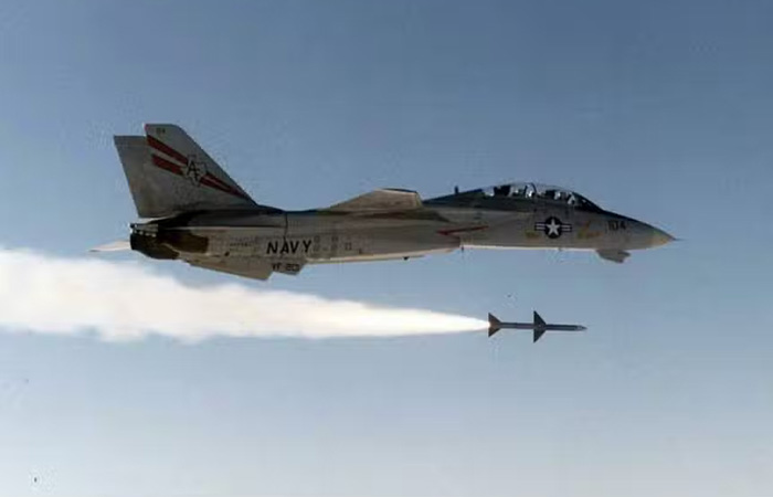 F-14 Tomcat./ Фото: aeroflap.com.br