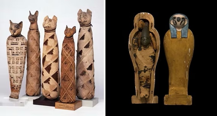 Мумификация животных была очень развитой отраслью в Древнем Египте. /Фото: augmentum.ch