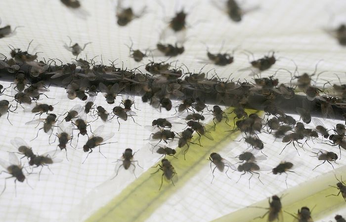 Не спешите заменять почву. Фото: m24.ru. Не спешите заменять почву. Фото: m24.ru.