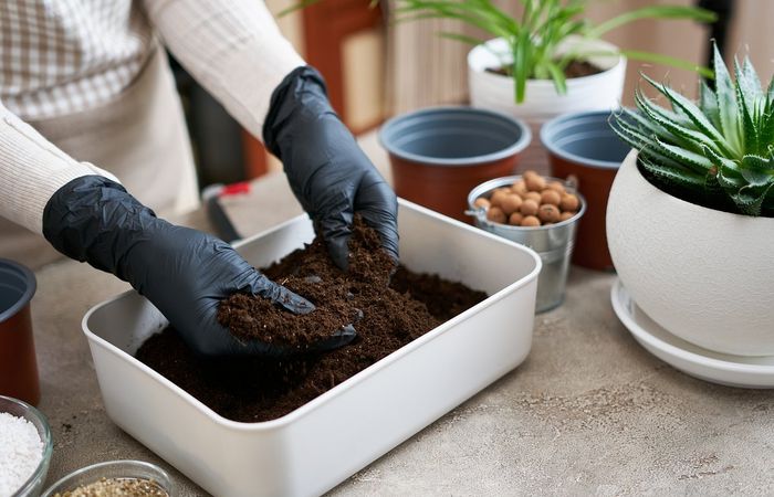 Замена верхнего слоя почвы. Фото: forestry.com. Замена верхнего слоя почвы. Фото: forestry.com.