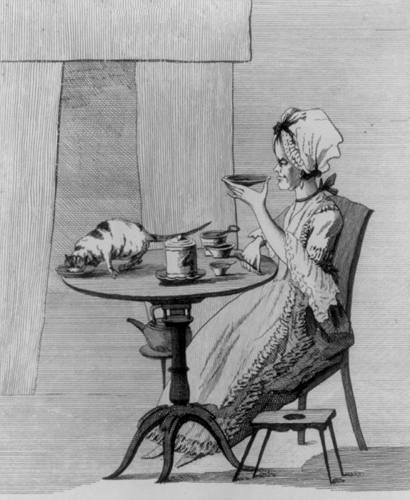 Карикатура середины ХІХ века, сопровождающая англоязычное ироничное стихотворение о «старой деве». /Фото: en.wikipedia.org