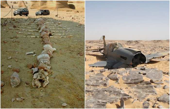 Метеориты и пропавший самолёт: 5 неожиданных вещей, которые хранит пустыня Сахара