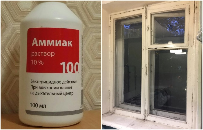 Нашатырь не оставлял разводов на окнах