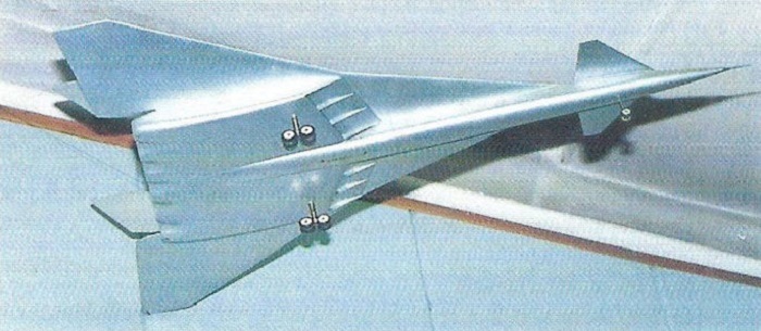 Одной из проблем стала низкая продольная устойчивость крыла. Фото: aviadejavu.ru