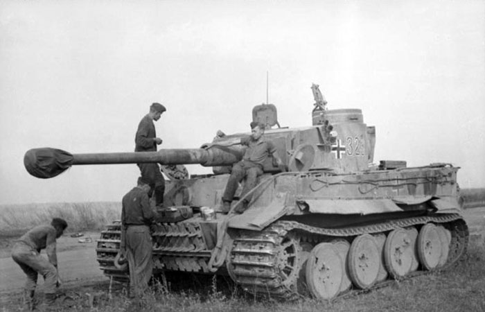 Тигр тоже был хорош, но не настолько./ Фото: wikipedia.org