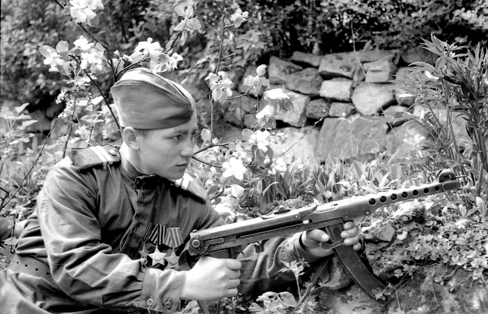 Чей ПП всё-таки был лучше? /Фото: news.rambler.ru. Чей ПП всё-таки был лучше? /Фото: news.rambler.ru.